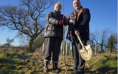 Tree planting marks anniversaries