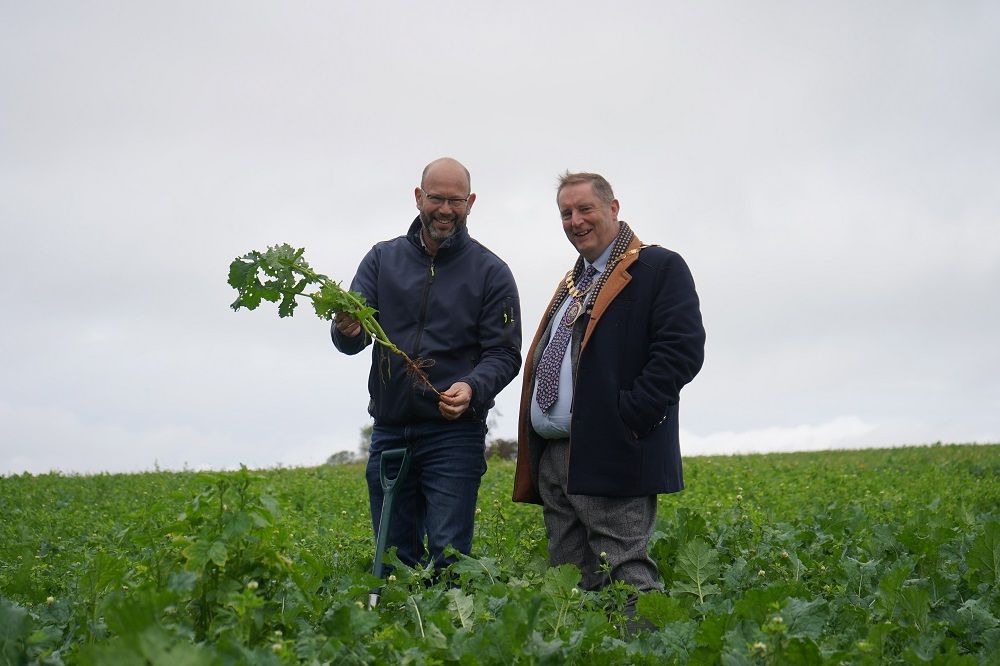 Two men stood in a field holding a plant.