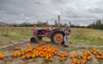 Council gives treats, not tricks