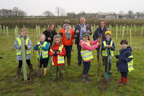 A group of young people planting new trees.
